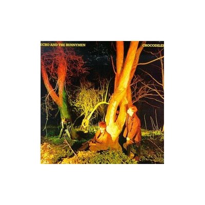 Echo & the Bunnymen - Crocodiles CD Album - Used