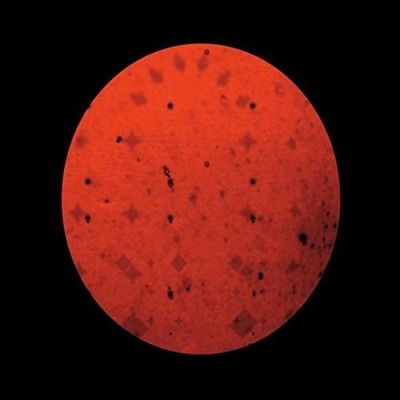 U0888295539333.jpg