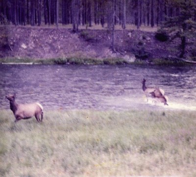 U0879198005384.jpg