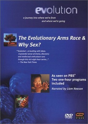 U0783421355095.jpg