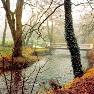 U0826067078895.jpg