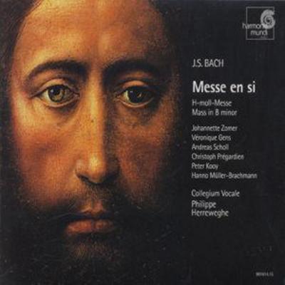 mus000018241.jpg