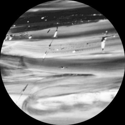 mus000543339.jpg