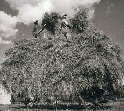 U0045778713820.jpg