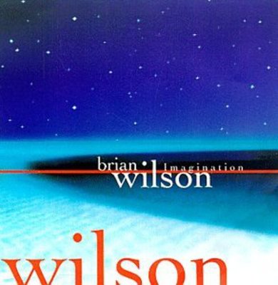Brian Wilson - Imagination CD Album - Used