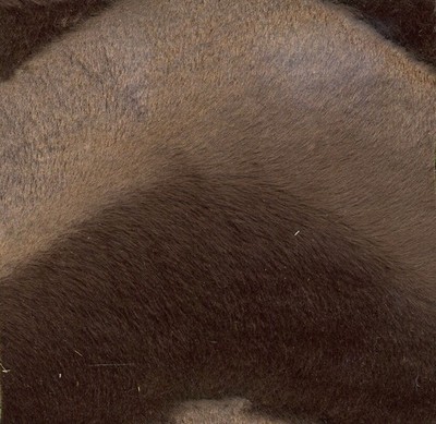 U5060131017501.jpg