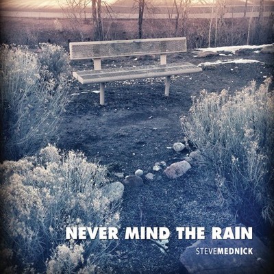 Steve Mednick - Never Mind the Rain CD Album - Used
