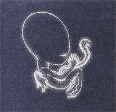 U0766921859225.jpg