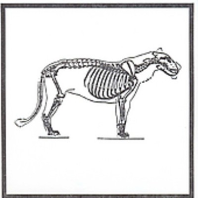 U0711574535026.jpg