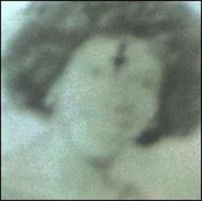 U0667336000625.jpg
