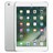 PI050000000399__White__1.jpg