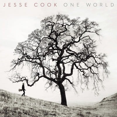 Jesse Cook - One World CD Album - Used