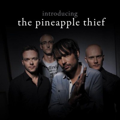 The Pineapple Thief - Introducing the Pineapple Thief CD Album - Used