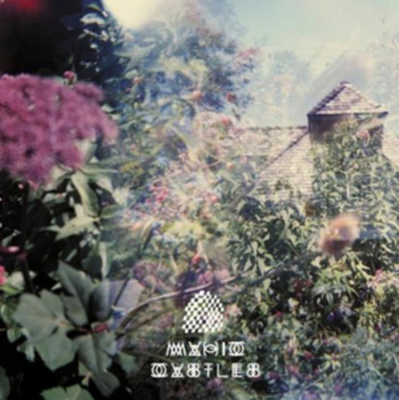 mus000352333.jpg