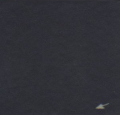 mus000338605.jpg