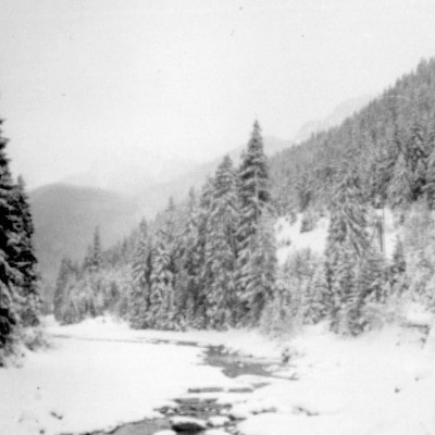 mus000596198.jpg