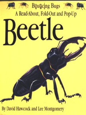 9781857070873.jpg