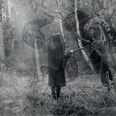 mus000578490.jpg