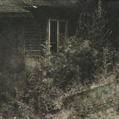 mus000213560.jpg