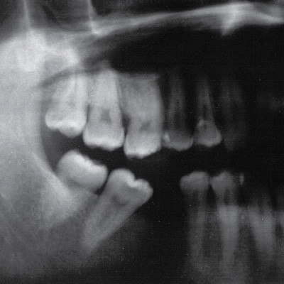 mus000613675.jpg