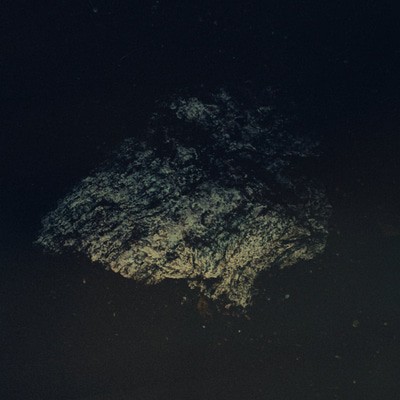 mus000604119.jpg