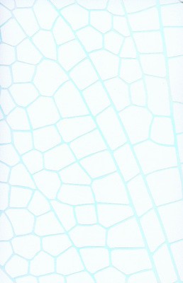 9780575081109.jpg