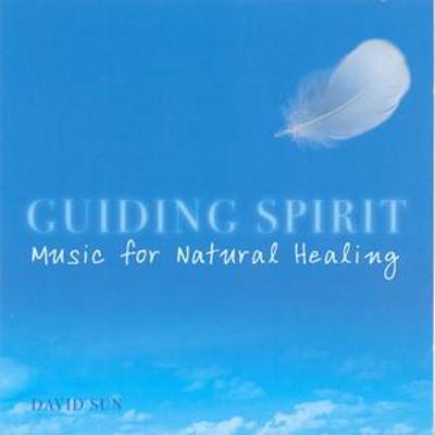 David Sun - Guiding Spirit: Music for Natural Healing CD Album - Used