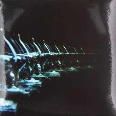 mus000615852.jpg