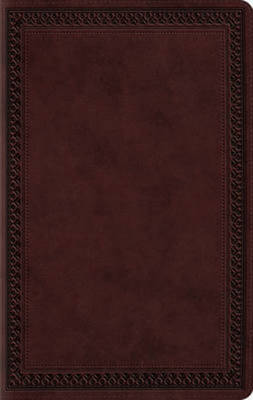 9781433550294.jpg