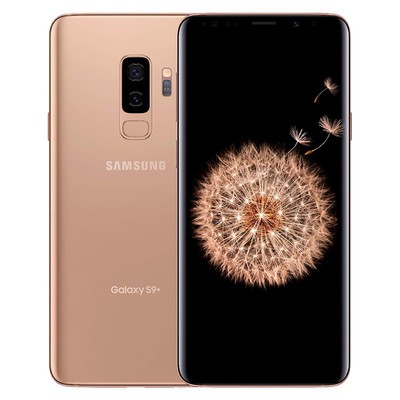 AI020000019623__Gold__1.jpg