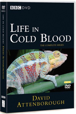 MM00142085.jpg