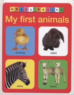 9781849158374.jpg