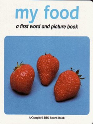 9780333687208.jpg