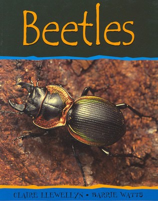 9780749652104.jpg