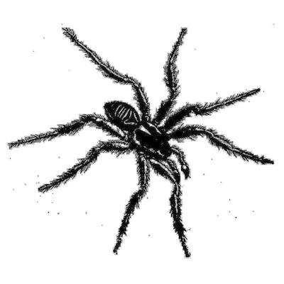 MUS000633788.jpg