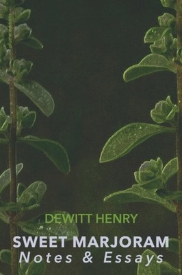 9781941196724.jpg