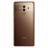 UI060000014093__Moch_Brown__1.jpg
