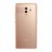 UI060000014093__Pink_gold__1.jpg