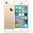 6182__Gold__1.jpg