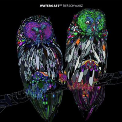 Various Artists - Watergate: Mixed By Tiefschwarz - Volume 9 CD Album - Used
