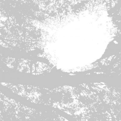 MUS000460886.jpg