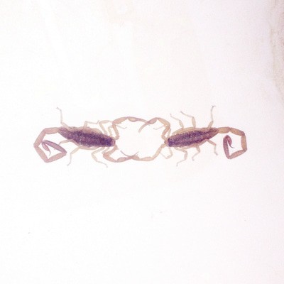 MUS000460889.jpg