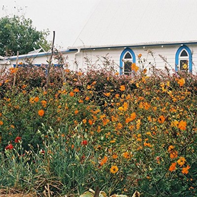 MUS000463435.jpg