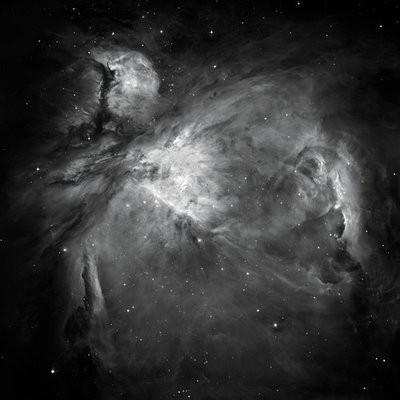 MUS000380790.jpg