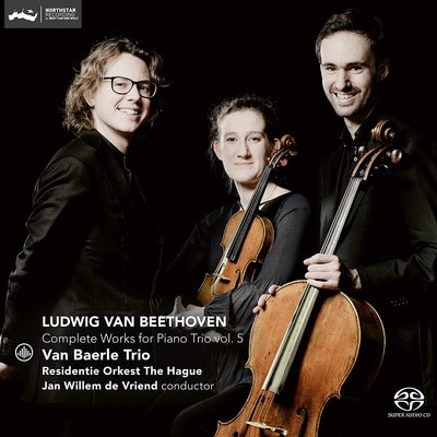 Ludwig van Beethoven - Ludwig Van Beethoven: Complete Works for Piano Trio - Volume 5 CD Album - Used