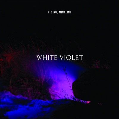 White Violet — Hiding, Mingling
