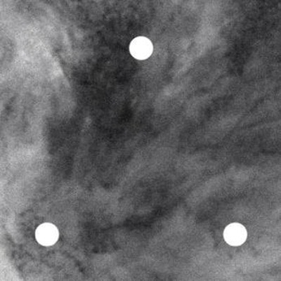 MUS000582839.jpg