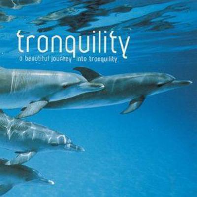 Various Artists - Tranquility CD Album - Used