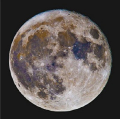 MUS000345950.jpg
