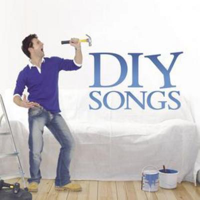 Various Artists - DIY Songs CD Album - Used